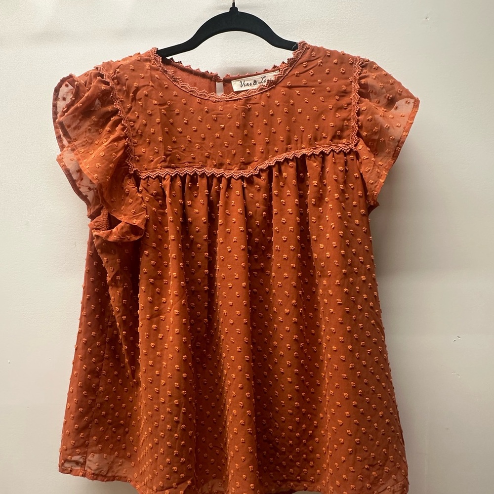 Vine & Love Rust Blouse with Embroidered Accents